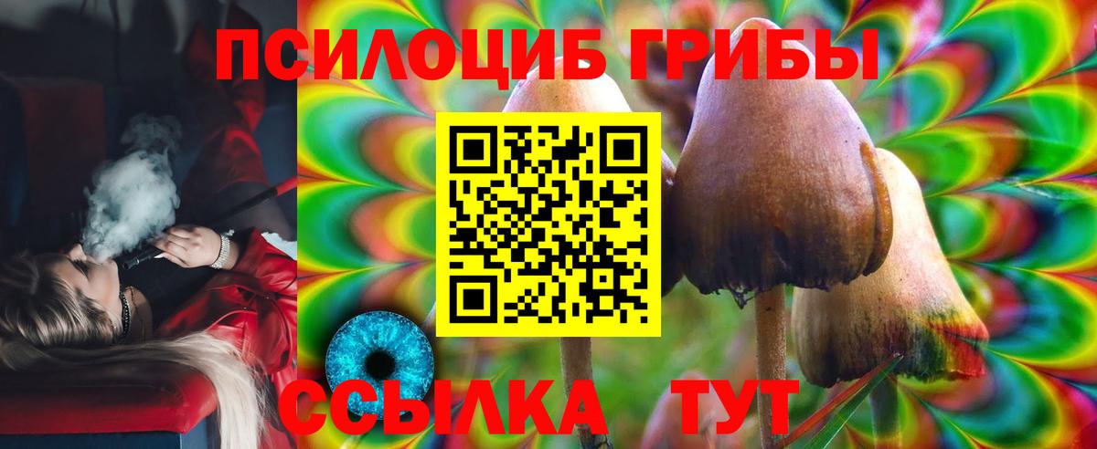 Псилоцибиновые грибы мухоморы Астрахань