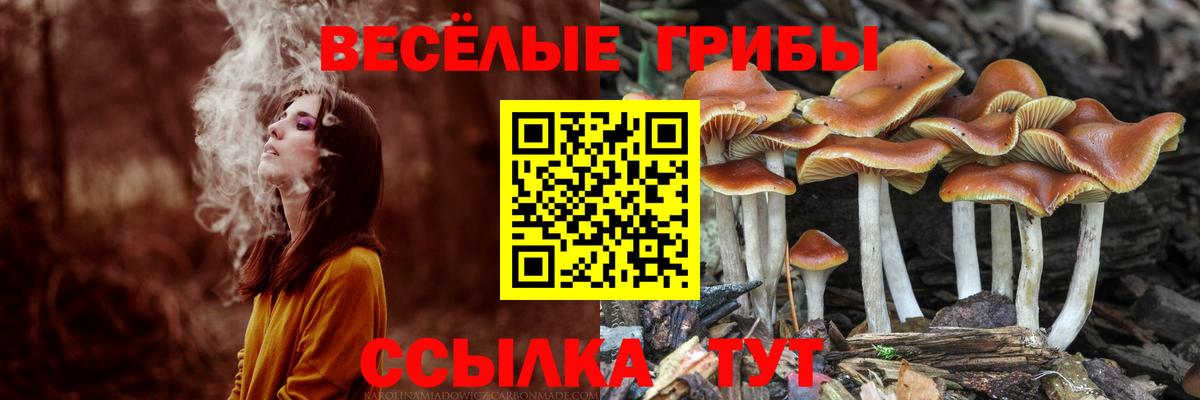 Псилоцибиновые грибы Cubensis  Галлюциногенные грибы MAGIC MUSHROOMS  Астрахань  Вход с VPN 